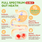 Totaria Sugar Free 5-in-1 Probiotic Prebiotic Postbiotic Gummy, 36 Strains Probiotics for Women Men with Fiber, Digestive Enzymes, Peppermint, Complete Immune, Gut & Digestive Support, Vegan, 60 Ct