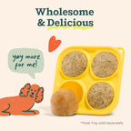 WOOF Pupsicle Mix Sample Pack for DIY Refill Pops