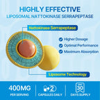 Liposomal Nattokinase 12,000 FU Serrapeptase 360,000 SPU Enzyme Supplement | Enriched with Synergistic Enzymes and Nutrient Blend & Inulin for Circulatory, Gut, Digestion 60 Capsules (2 Bottle)