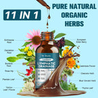 2Pack Liposomal Lymphatic Drainage Drops - 11 In 1 Organic Lymphatic Drainage Supplement with Burdock Root, Echinacea, Elderberry, Calendula, Cleavers Herb, Dandelion Supports Lymphatic Health 4 FL.OZ