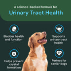 VetriScience Veterinary Strength UT Health, Chicken, 60 Chews