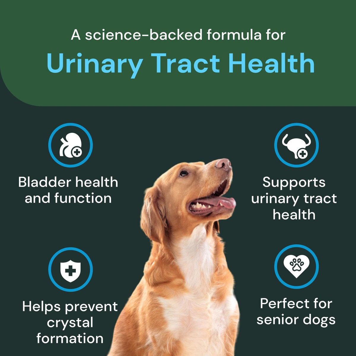 VetriScience Veterinary Strength UT Health, Chicken, 60 Chews