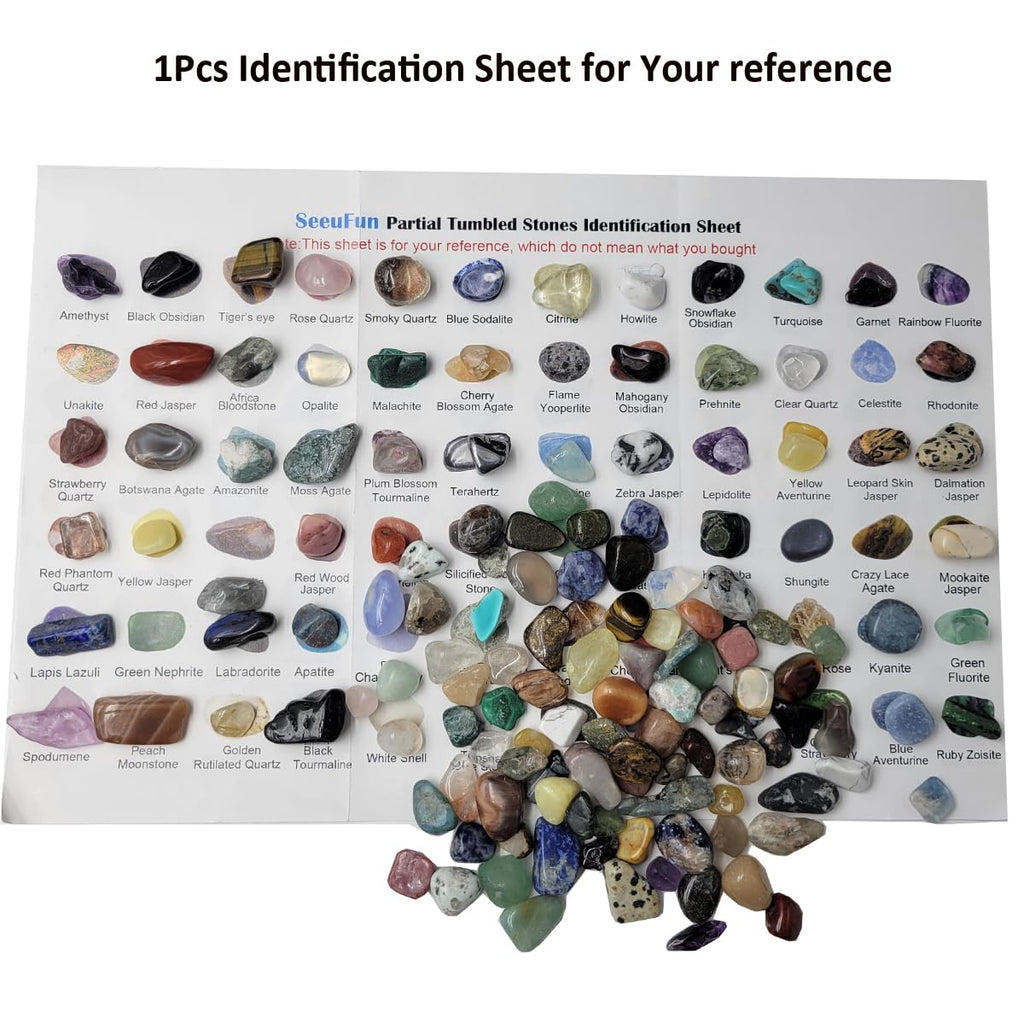 800Pcs+ (3lb) Gemstones and Crystals Set,30Kinds+ Bulk Rocks and Minerals Science Kit,Rocks Collections for Kids,Tumbled Chips Crystals,Crushed Stones