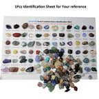 800Pcs+ (3lb) Gemstones and Crystals Set,30Kinds+ Bulk Rocks and Minerals Science Kit,Rocks Collections for Kids,Tumbled Chips Crystals,Crushed Stones