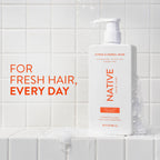 Buy now Native 2-in-1 Shampoo & Conditioner - Autumn Air & Amber - Naturally Derived Ingredients, Silicone-Free, Sulfate-Free, Paraben-Free, Strengthening Hair Care | Fall Seasonal Bundle 16.5 oz - 2 Pk at indiglob india