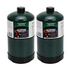 BLUEFIRE Pack of 2 Propane Fuel Camping Gas Cylinder 16.4oz All-Purpose Canister Portable Tank Bottle for Outdoor Cooking Torch Lamp