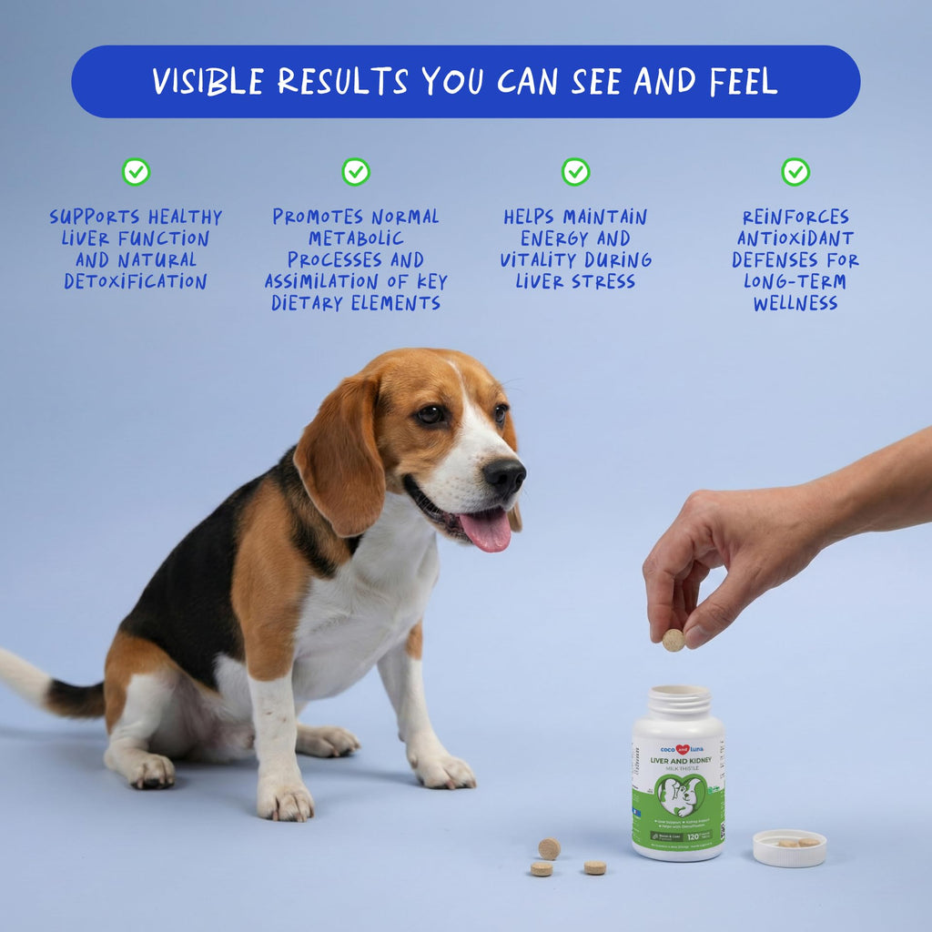 Milk Thistle for Dogs 120 Tablets - Liver, Kidney & Detox Support | Silymarin with Choline & L-Arginine. Supports liver detox, kidney function & hepatic health with EPA & DHA.