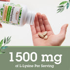 Quantum Health SuperLysine+ 1500mg L-lysine Immune Support 180 Tablets | Essential Amino Acid, Vitamin C, Echinacea, Licorice, Bee Propolis & Odorless Garlic, Daily Formula