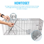 SZHLUX 32" Live Animal Cage Trap, Heavy Duty Folding Raccoon Traps, Humane Cat Trap for Stray Cats, Raccoons, Squirrel, Skunk, Mole, Groundhog, Armadillo, Rabbit, Catch and Release
