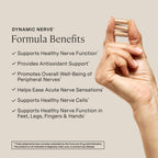 Stonehenge Health Dynamic Nerve®| Mobility Function in Hands & Feet - 90ct | Nerve Support Supplements for Hands and Feet Alpha Lipoic Acid ALA 600mg Benfotiamine PEA B Complex B12 Acetyl L Carnitine D3