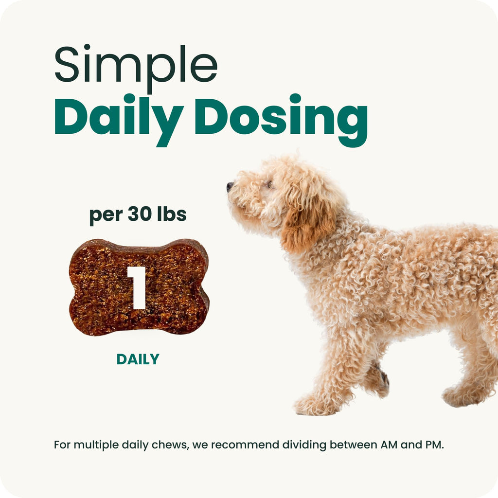 VetriScience Extra Strength Healthy Heart Chews for Dogs, Chicken, 60 Count