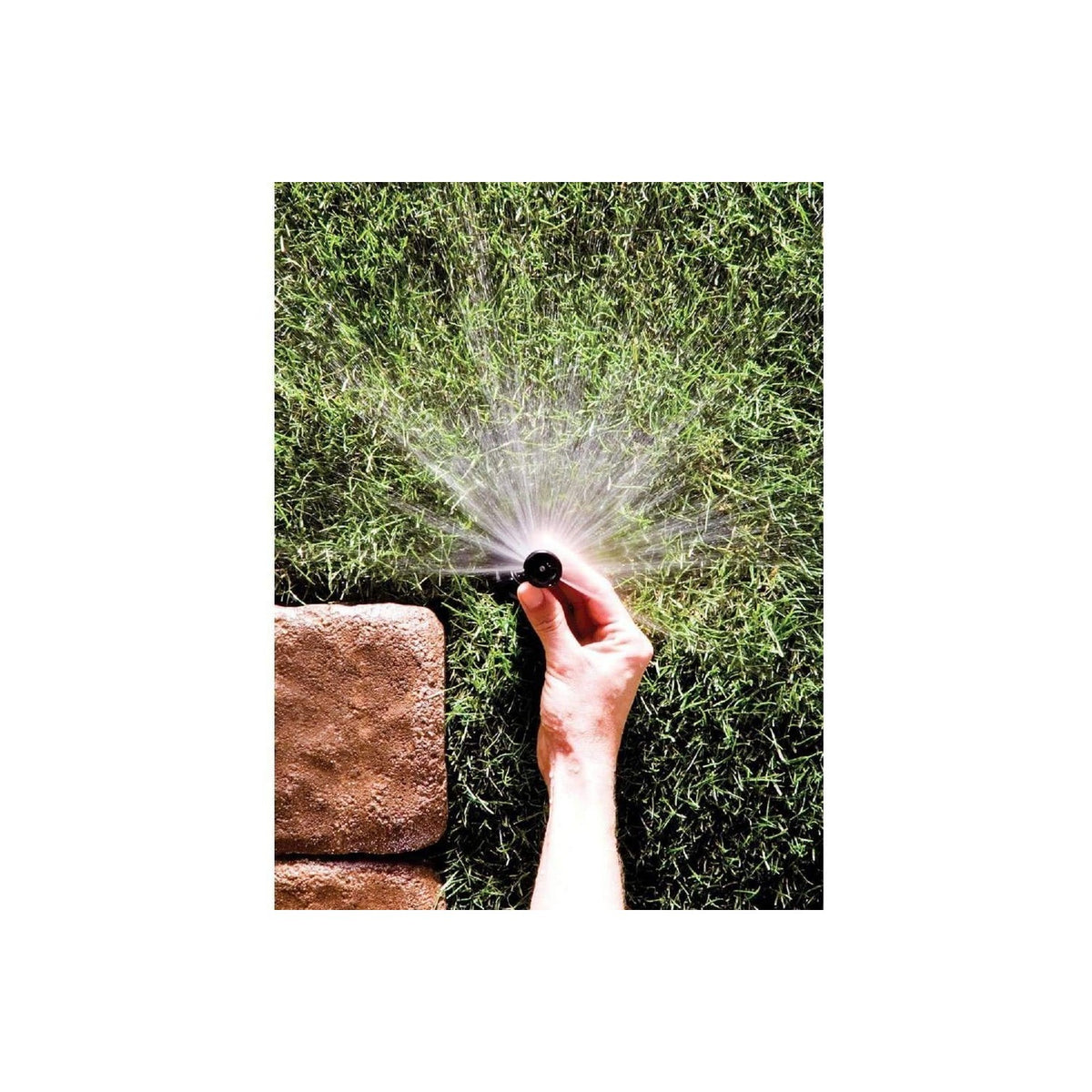 Rain Bird 1804APPR25 PRS Professional Pop-Up, Full Circle, 8-15 Feet, 4"