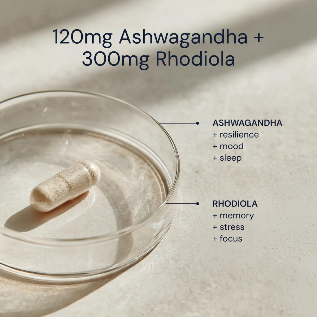 Blueprint Bryan Johnson Ashwagandha & Rhodiola Supplement – 120mg Ashwagandha + Rhodiola Root – Daily Adaptogen Capsules for Stress Support, Mood Balance, Energy & Focus – 30 Vegan Capsules