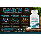 Kappa Nutrition Powered by Magbrain™ Magnesium L-Threonate Plant-Based, 420mg Elemental Magnesium (3 Capsules) from 2,253mg, 120 Vegan Capsules, Brain, Sleep & Muscle Support.