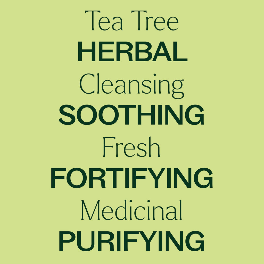 Buy now Plant Therapy Organic Tea Tree Oil (Melaleuca) 100% Pure, USDA Certified Organic, Undiluted, Natural Aromatherapy, Therapeutic Grade 30 mL (1 oz) at indiglob india