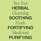 Buy now Plant Therapy Organic Tea Tree Oil (Melaleuca) 100% Pure, USDA Certified Organic, Undiluted, Natural Aromatherapy, Therapeutic Grade 30 mL (1 oz) at indiglob india