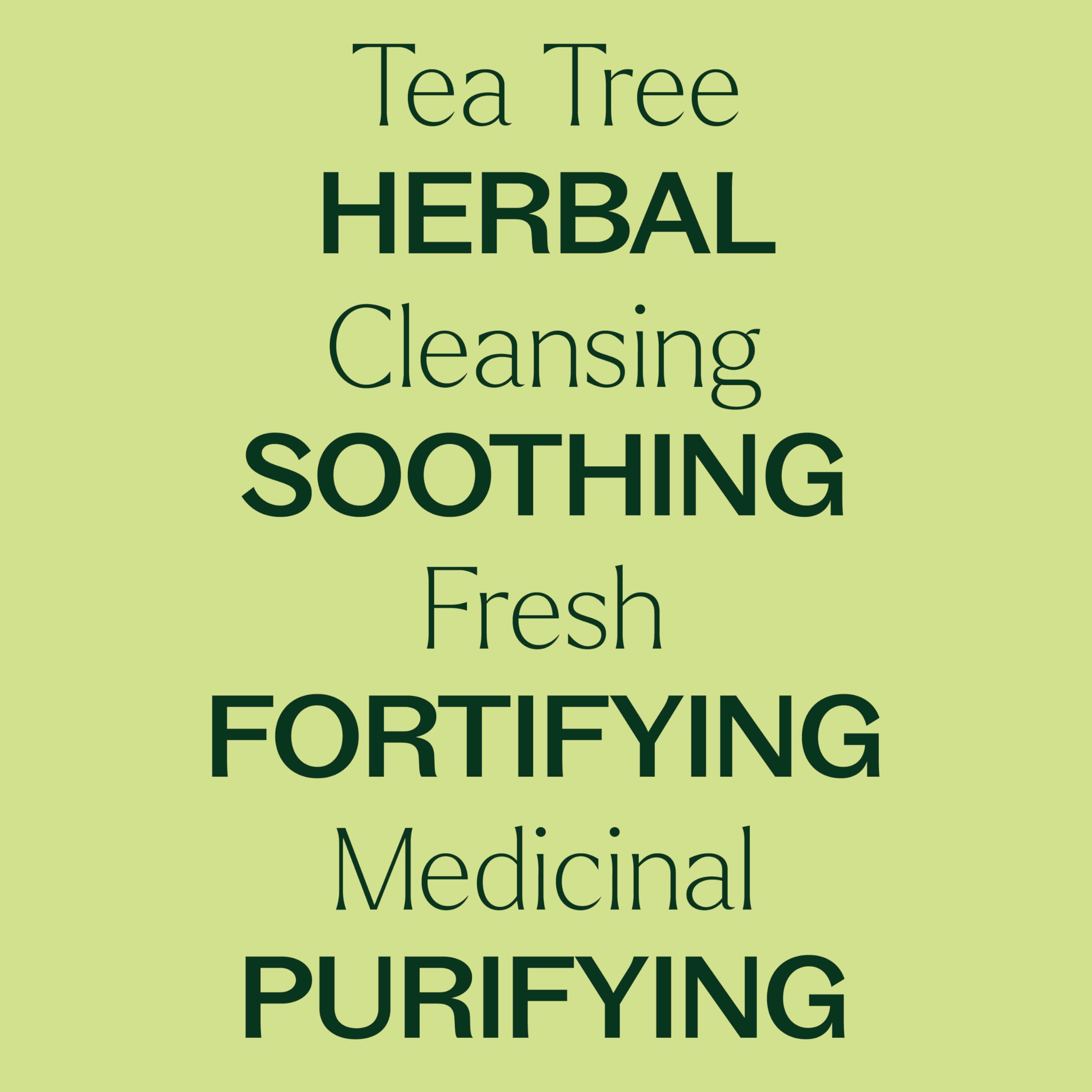 Buy now Plant Therapy Organic Tea Tree Oil (Melaleuca) 100% Pure, USDA Certified Organic, Undiluted, Natural Aromatherapy, Therapeutic Grade 30 mL (1 oz) at indiglob india