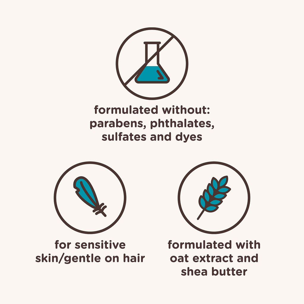 Aveeno Kids Curly Hair Conditioner, 12 fl. oz | Hydrating Conditioner, Oat Extract & Shea Butter, Gentle Scent, Detangles & Moisturizes Curls