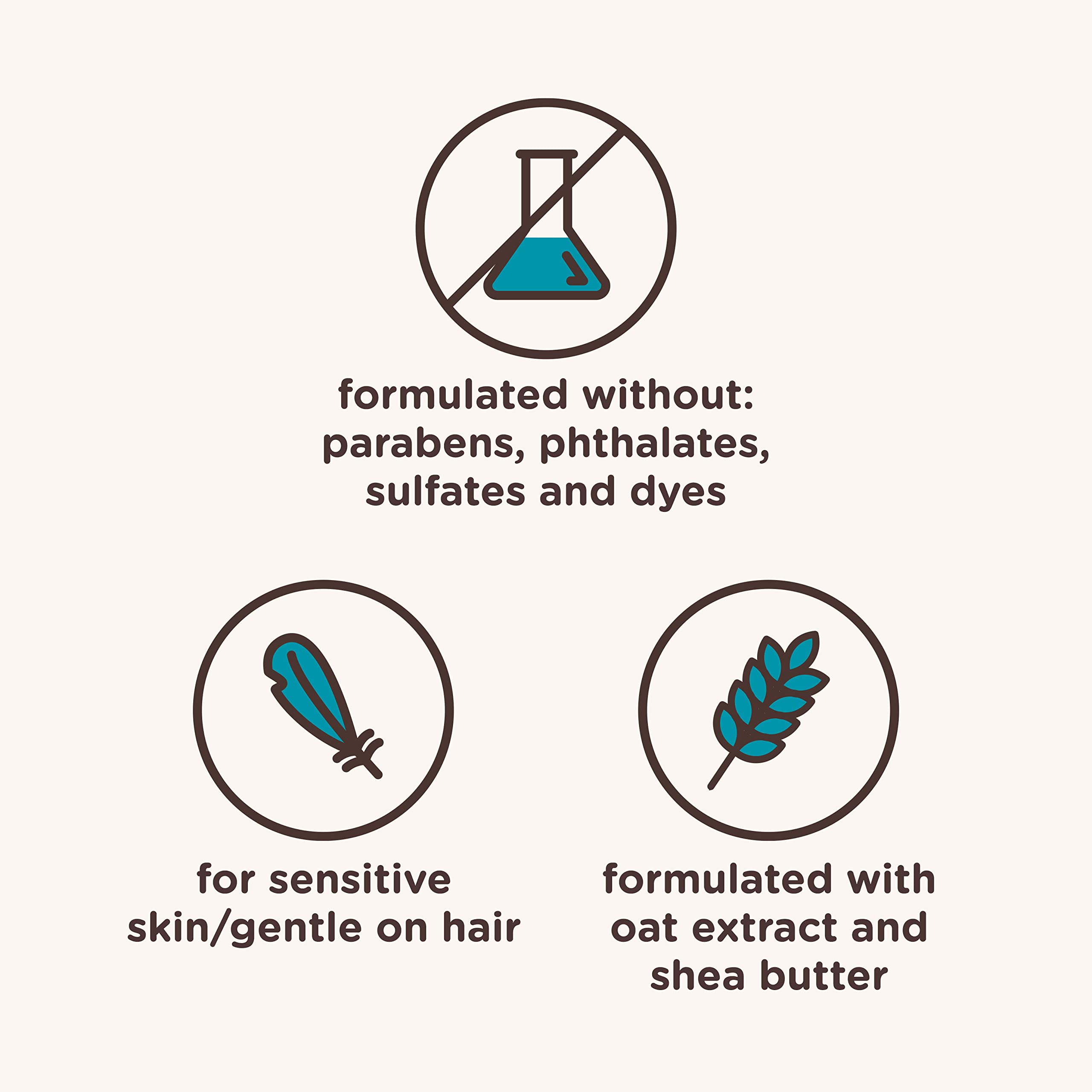 Aveeno Kids Curly Hair Conditioner, 12 fl. oz | Hydrating Conditioner, Oat Extract & Shea Butter, Gentle Scent, Detangles & Moisturizes Curls