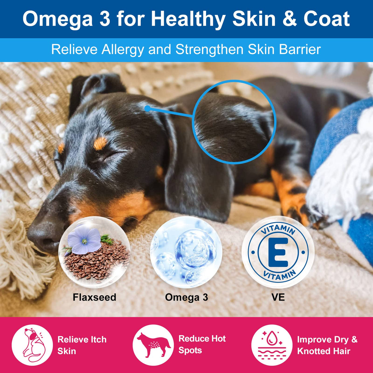 NATURE TARGET Dog Vitamins Powder, Probiotics & Digestive Enzymes for Gut Health, Glucosamine & Chondroitin & Omega 3, Complete Supplement for Homemade Dog Food, Joint & Skin & Immune Support