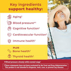 Nature Made Advanced Multivitamin Gummies 50 + for Her, Womens Multivitamins Gummies with Magnesium Citrate, Vitamin D3, Zinc, Calcium and All 8 B Vitamins, 28 Day Supply, 84 Count (Pack of 2)