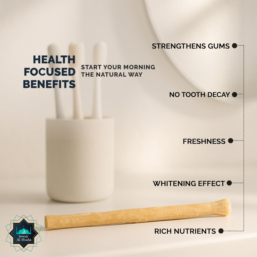 12 Pcs Miswak Sticks with Holder - Vacuum Sealed Chewing Miswak Sticks for Teeth - Natural Flavored Toothbrush for Teeth Whitening, Oral Health, and Fresh Breath || Pack of 12