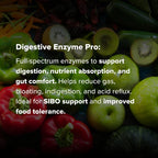 Digestive Enzyme Pro by Dr. Rajsree, MD | Full Spectrum Digestive Enzyme Support for Gas, Bloating & Indigestion | with Betaine, Pepsin, Ox Bile & Pancreatin | 90 Capsules
