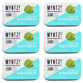 Buy now Dentist Recommended MYNTZ! Brand Mints - Wintermynt Blast Flavor 6 tins x 1.75 ounces per tin Default at indiglob india