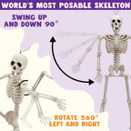 JOYIN 5 PCS Posable Halloween Skeleton Decor 16 Inches, Full Body Posable Joints Hanging Skeletons for Halloween Decorations, Graveyard Props, Haunted House Accessories, Spooky Scene Party Favors