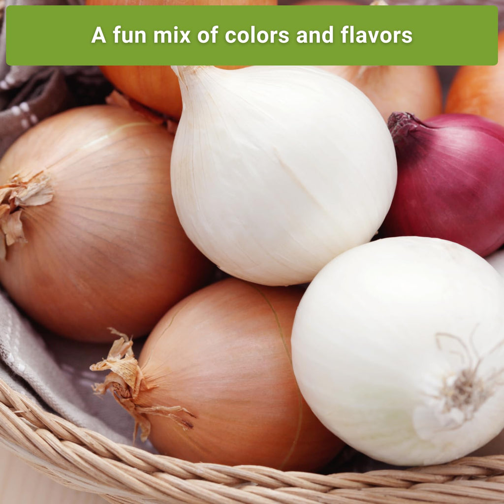 Sow Right Seeds - Short Day Onion Seed Collection for Planting Home Garden