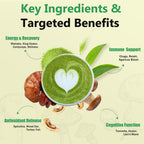 Mushroom Matcha with 12 Mushrooms with Lion's Mane, Chaga and Probiotics, Ceremonial Grade Matcha Powder for Focus, Digestion & Immunity - 30 Servings