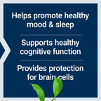 Life Extension D, L-Phenylalanine, 500 mg, Mood Health, 100 Capsules