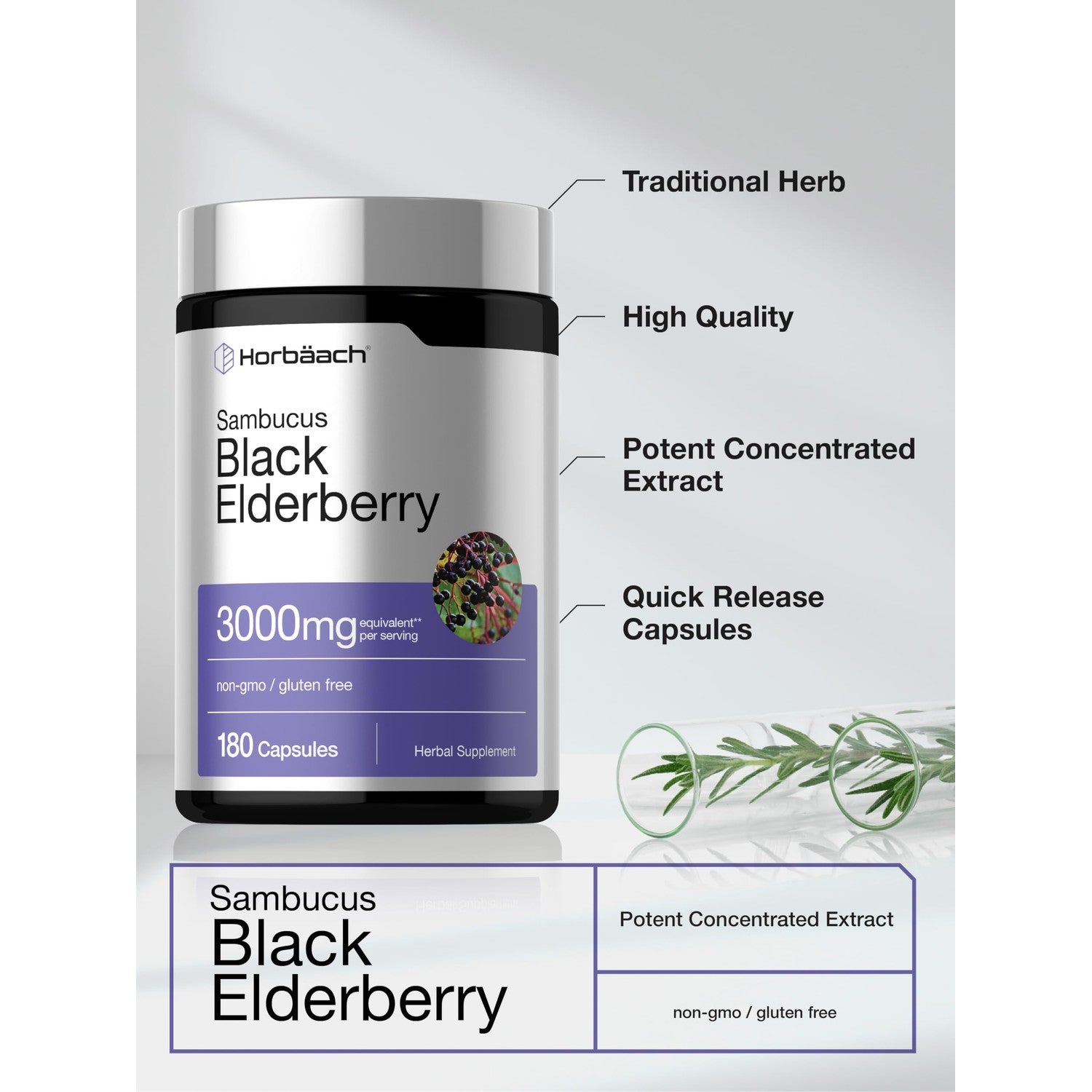 Horbäach Black Elderberry | 180 Capsules | Sambucus Extract Supplement | Non-GMO & Gluten Free