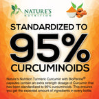 Turmeric Curcumin Supplement - 95% Curcuminoids with Organic Turmeric & Ginger, BioPerine Black Pepper Extract for Best Absorption, Natural Vegan Joint Support, Non-GMO, Bottled in USA - 240 Capsules