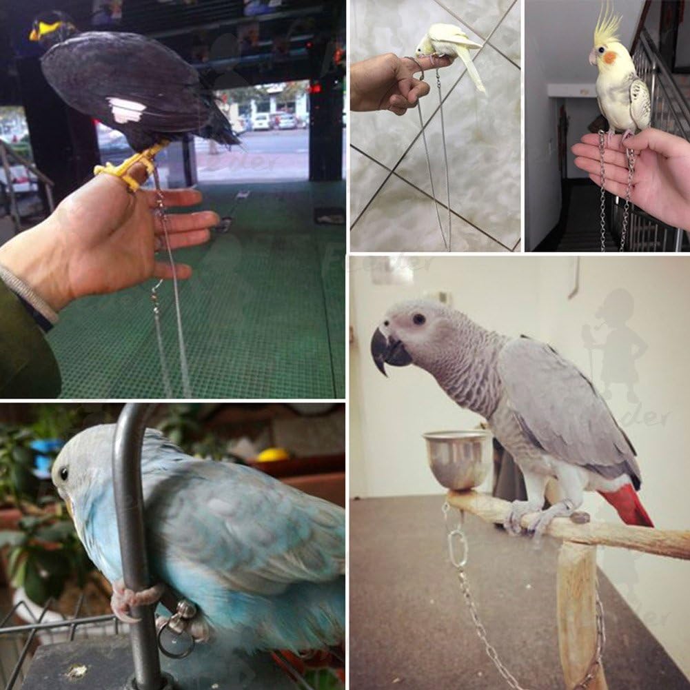 Buy now Pet Bird Leash Parrot Foot Chain Stainless Steel 304 Anklet Ring (Model 15, 14.5mm) at indiglob india