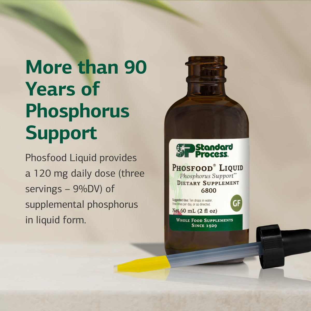 Standard Process Phosfood Liquid, Phosphorus Supplement, 60 mL (2 fl oz)