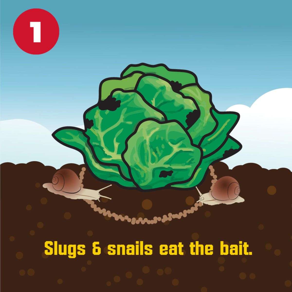 Corry's Slug and Snail Killer Bait 1.75 Pounds