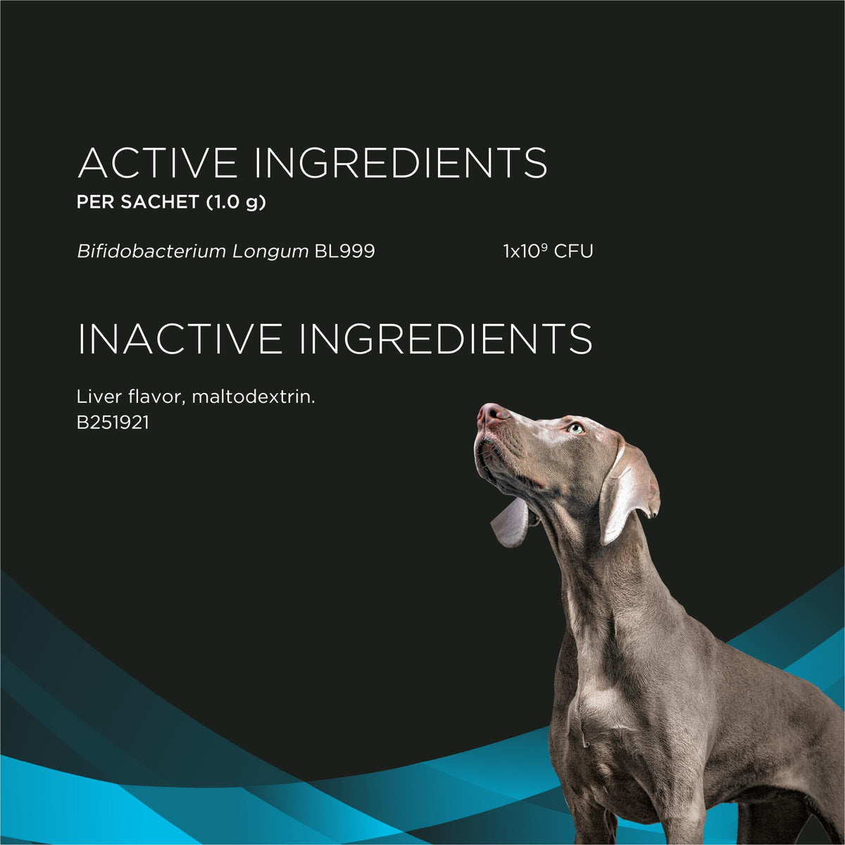 Purina Pro Plan Veterinary Supplements Calming Care Dog Supplement, 30 ct