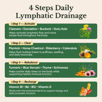 Venture Pal Lymphatic Drainage Drops, on the Go-4fl oz