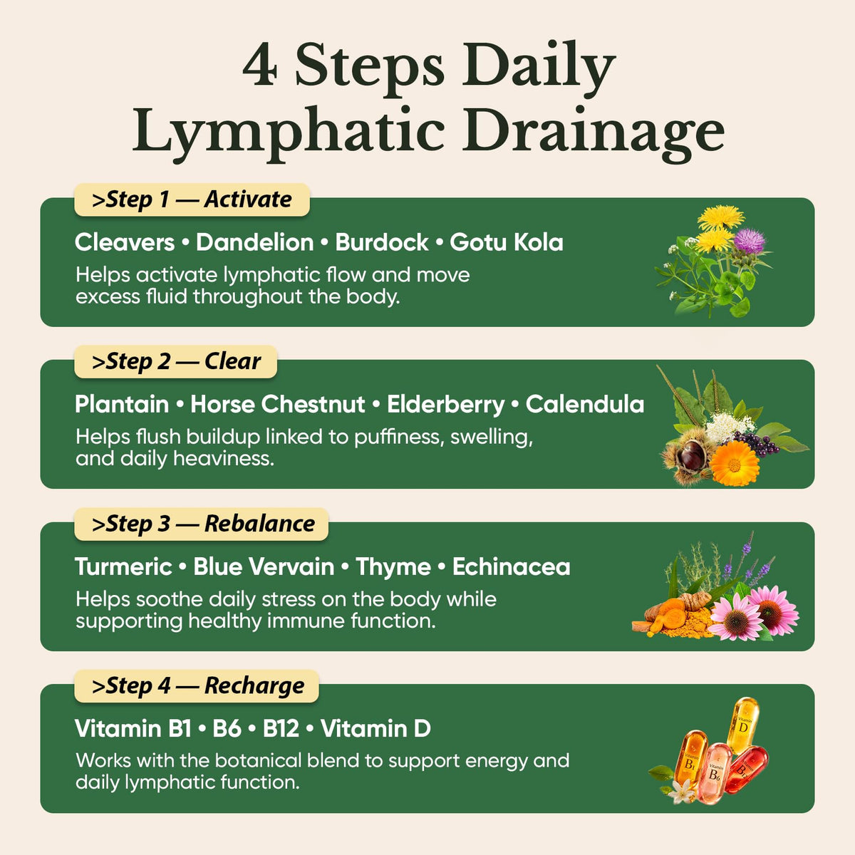 Venture Pal Lymphatic Drainage Drops, on the Go-4fl oz