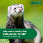 Advantage II Ferret Topical Flea Treatment & Prevention, 2ct
