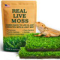 LUCKYRUNES Live Moss for Terrarium Bedding & Reptile Enclosures
