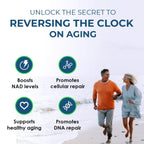 2010 MG NAD+ Supplement- Nicotinamide Riboside, Resveratrol, Quercetin & BioPerine® (High Absorption)- Natural NAD Booster for Anti-Aging, Cellular Energy, Skin- For Women & Men- 90 V Capsules