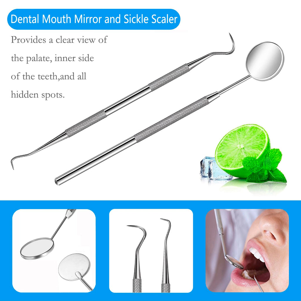 Dental Tools, Professional Plaque Remover Teeth Cleaning Tool Kit, Stainless Steel Dental Pick Tartar Scraper Tooth Cleaner, Oral Care Hygiene Set for Dentist Personal Pets with Storage Box