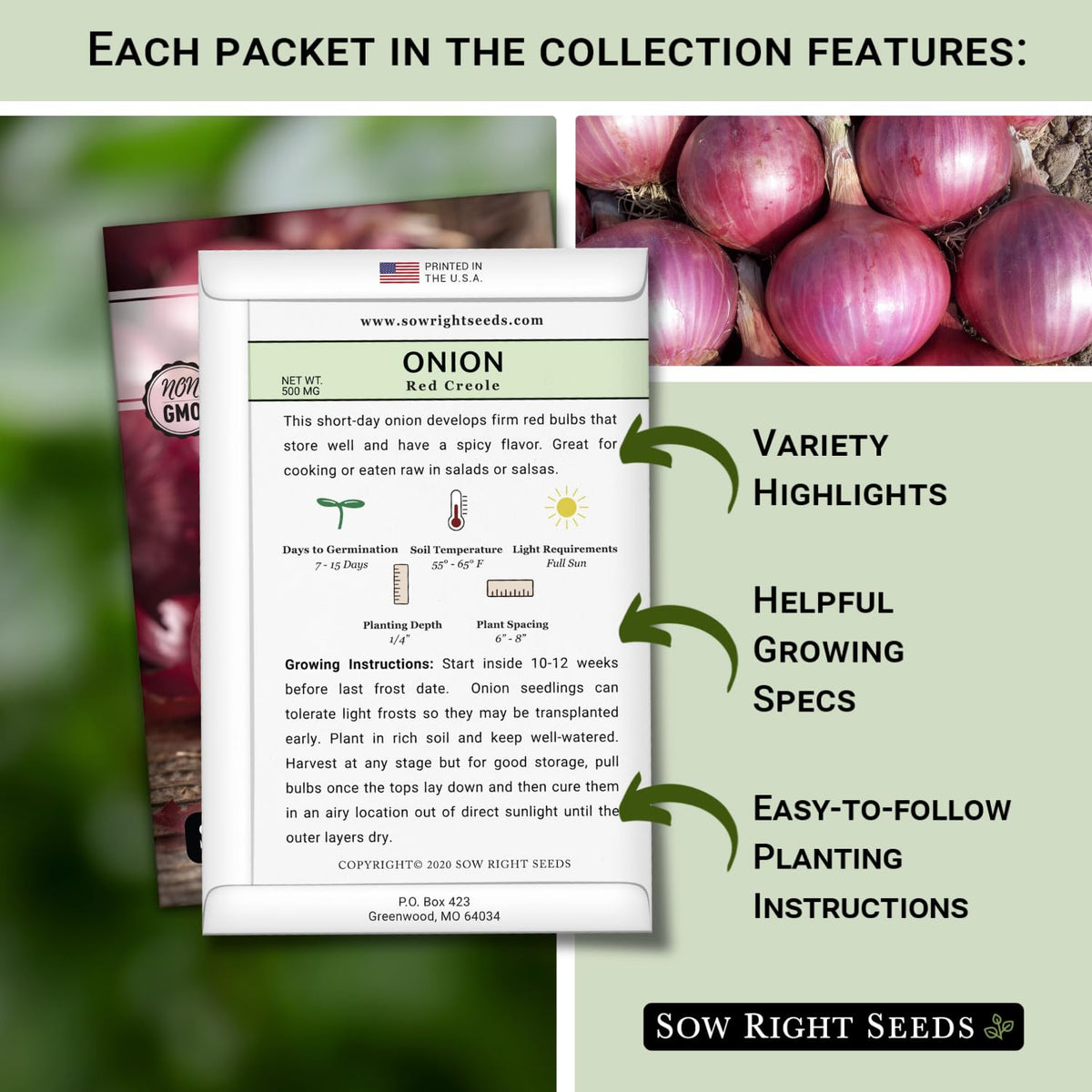 Sow Right Seeds - Short Day Onion Seed Collection for Planting Home Garden