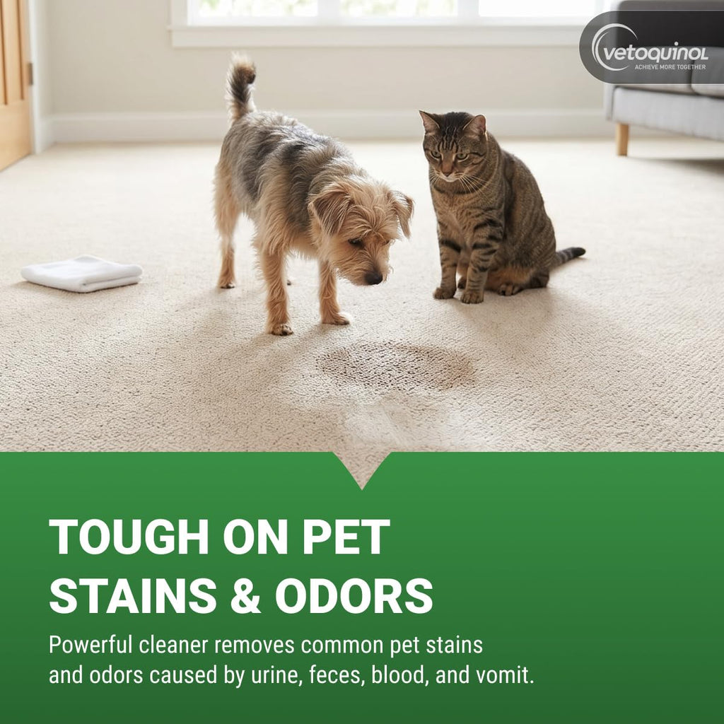 Vetoquinol Equalizer, Pet Carpet Cleaner and Stain Remover, 20 oz