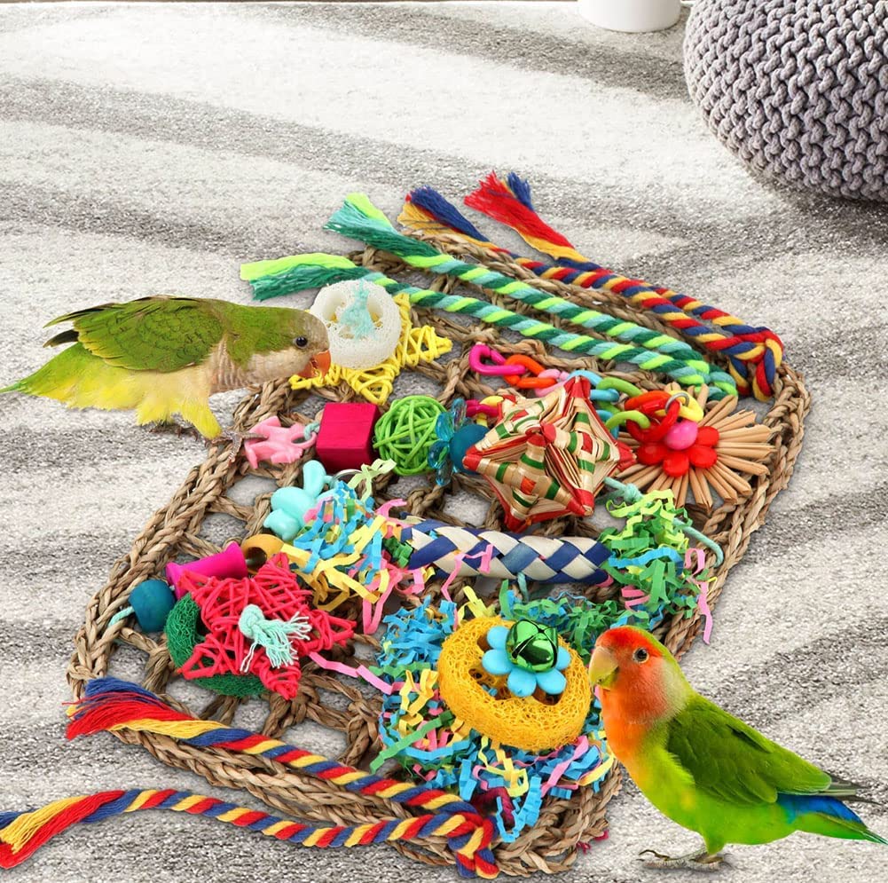 Foraging Toys for Parakeets Cockatiel Conures Lovebirds - Seagrass Wall with Various Bird Toys