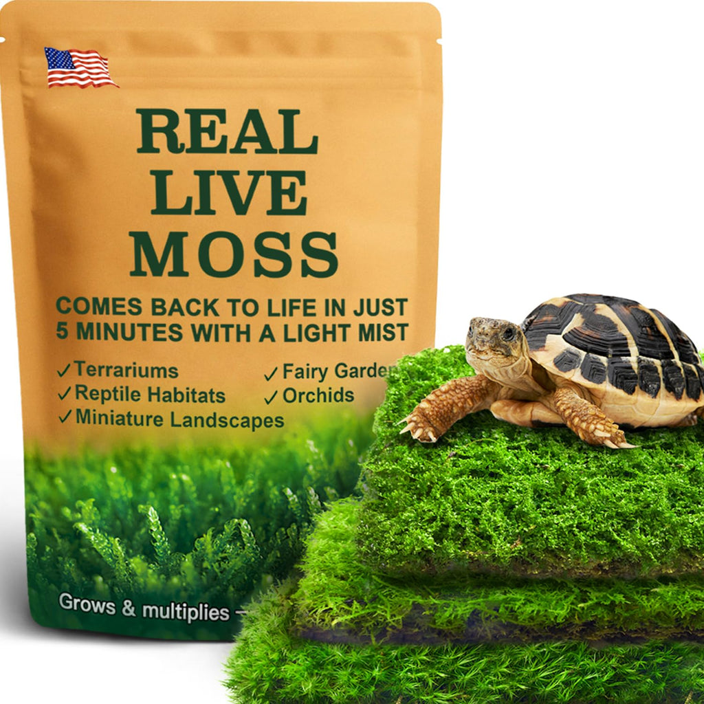 LUCKYRUNES Live Moss 3-Pack for Reptile Enclosures & Terrariums,Fresh Reptiles Substrate