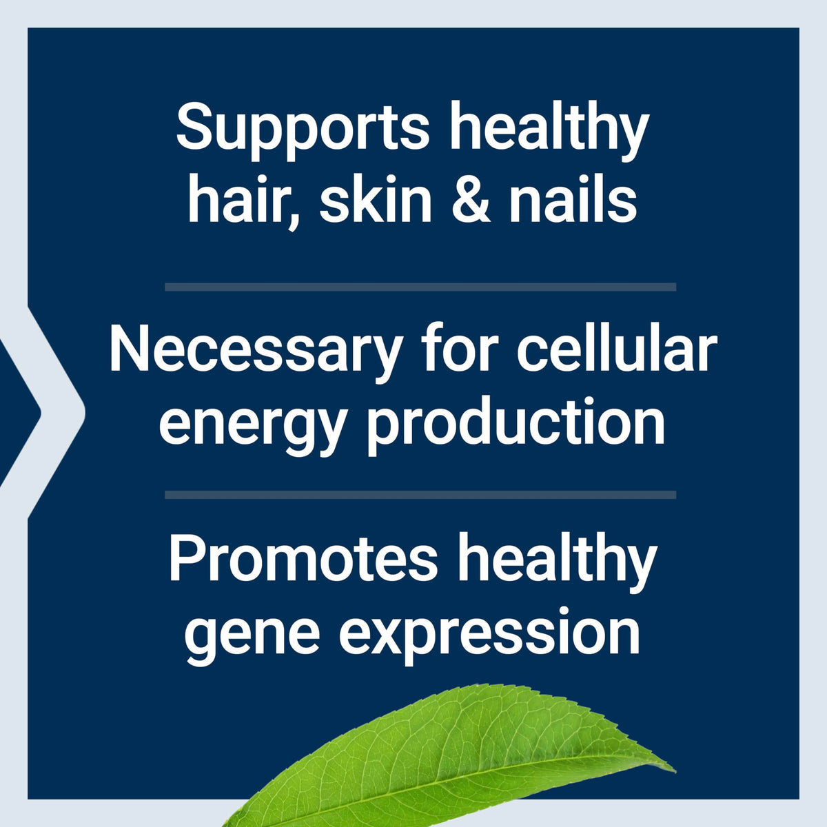 Life Extension Biotin, Vitamin B7, 600 mcg, 100 Capsules