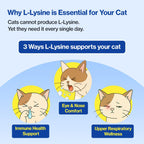 Doctor By FELYSIN L-Lysine for Cats Lickable Immune Support Supplement Allergy Relief, Sneezing, Runny Nose, Cold, Watery Eyes Respiratory Health with Beta-Glucan & Taurine – 30 Individually Packaged